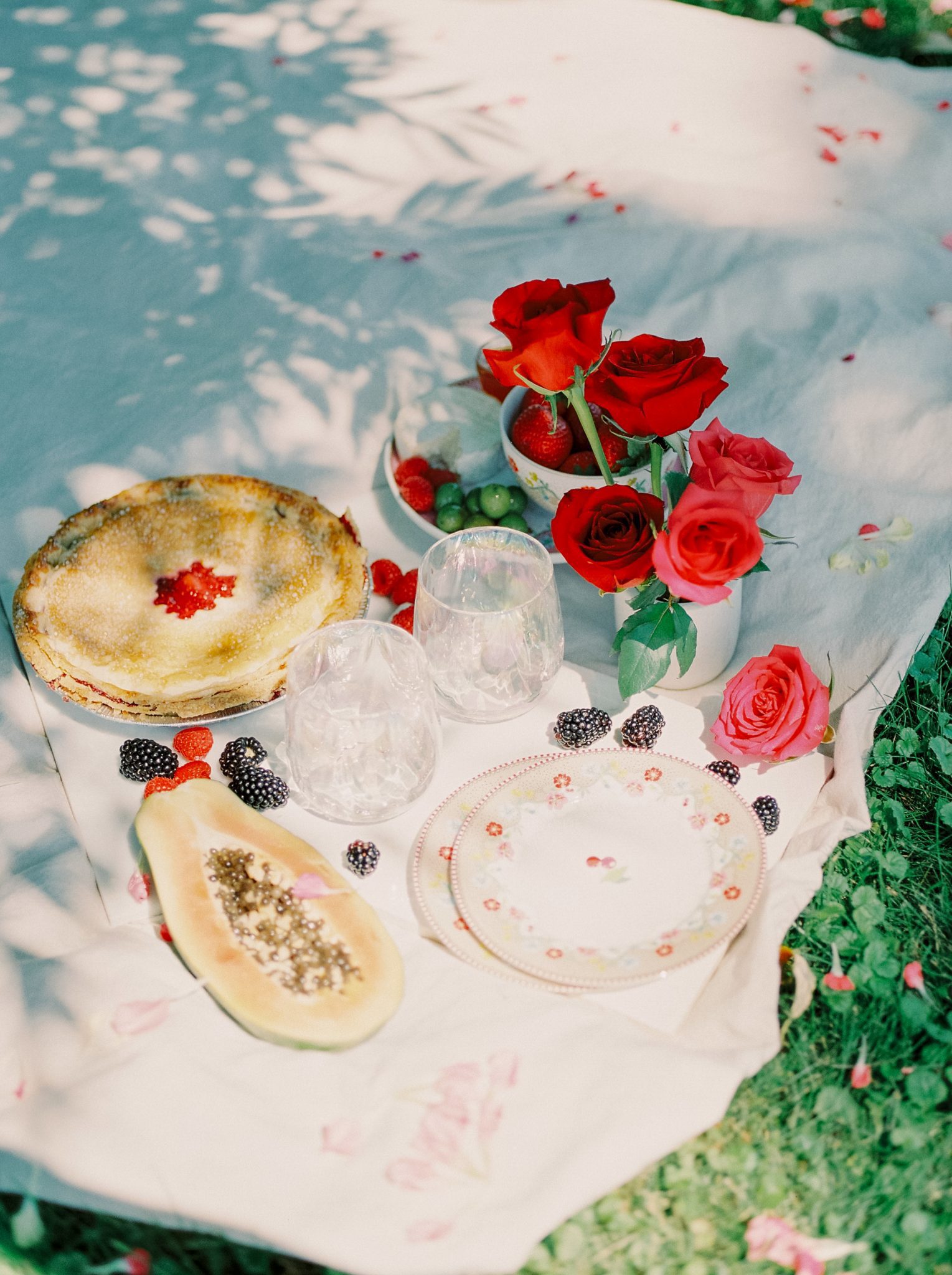 Valentine's Day Inspiration, picnic inspiration, red roses