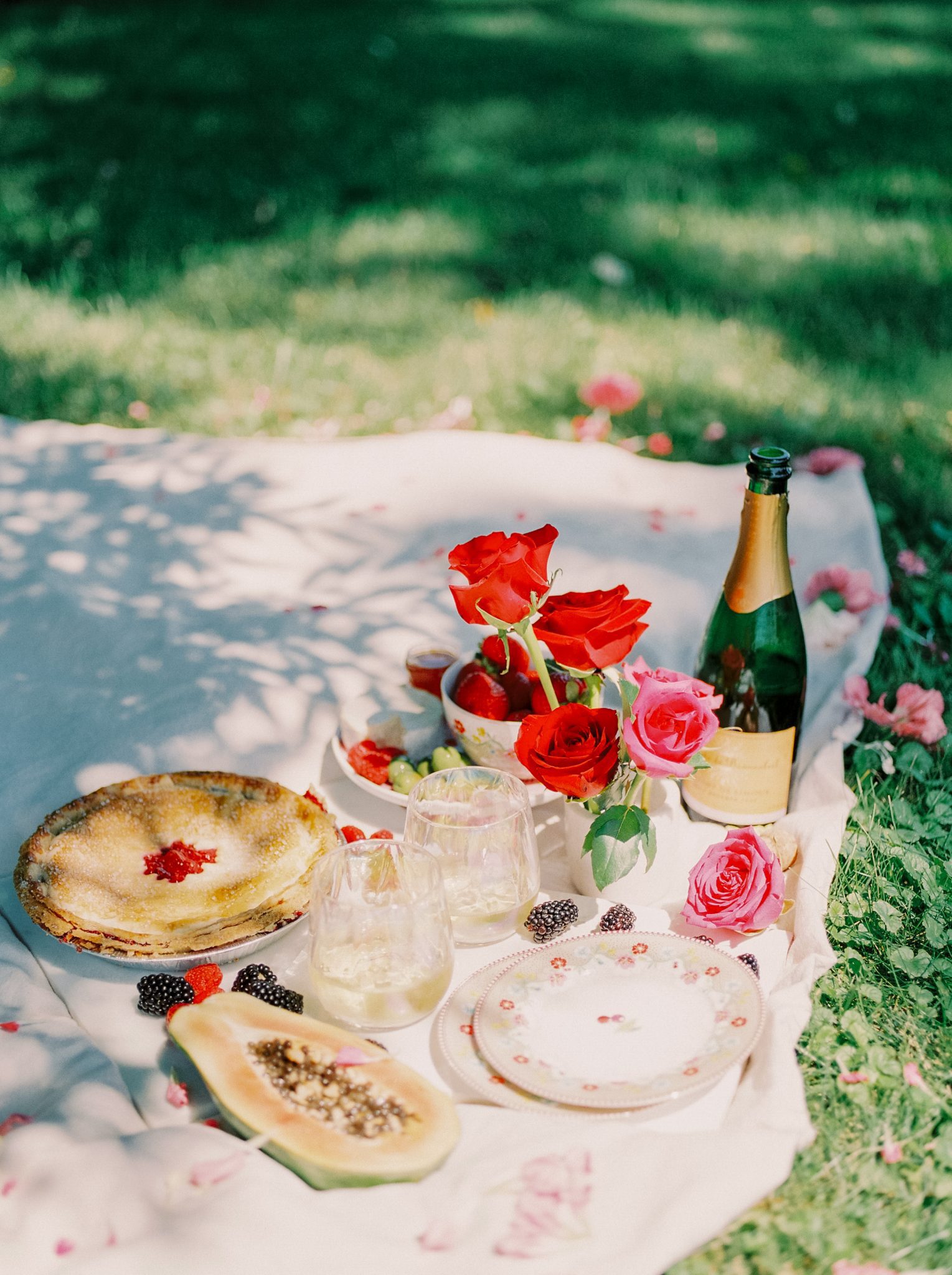 Hot Pink Perfection for this Picnic in the Park Valentine's Day Inspiration Featured by Brontë Bride, red roses, picnic in the park