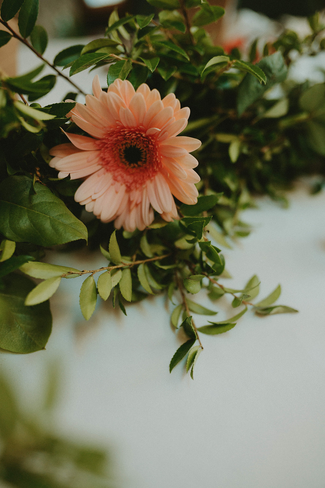 This Minimalist Micro-Wedding features a DIY Bouquet Made by the Bride Herself - gerber daisy, greenery