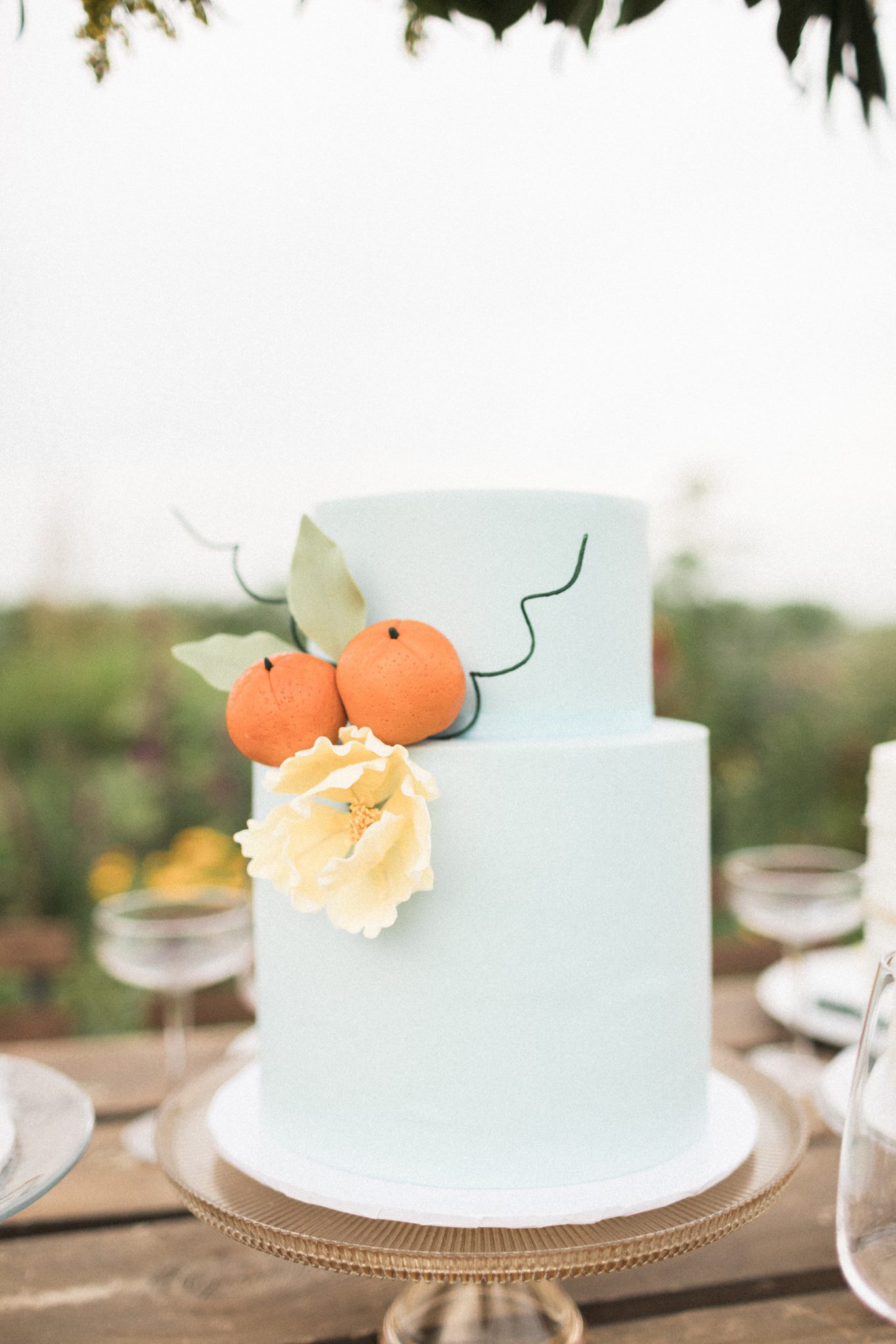 Robin blue wedding cake with tangerine and orange accents for this garden styled wedding