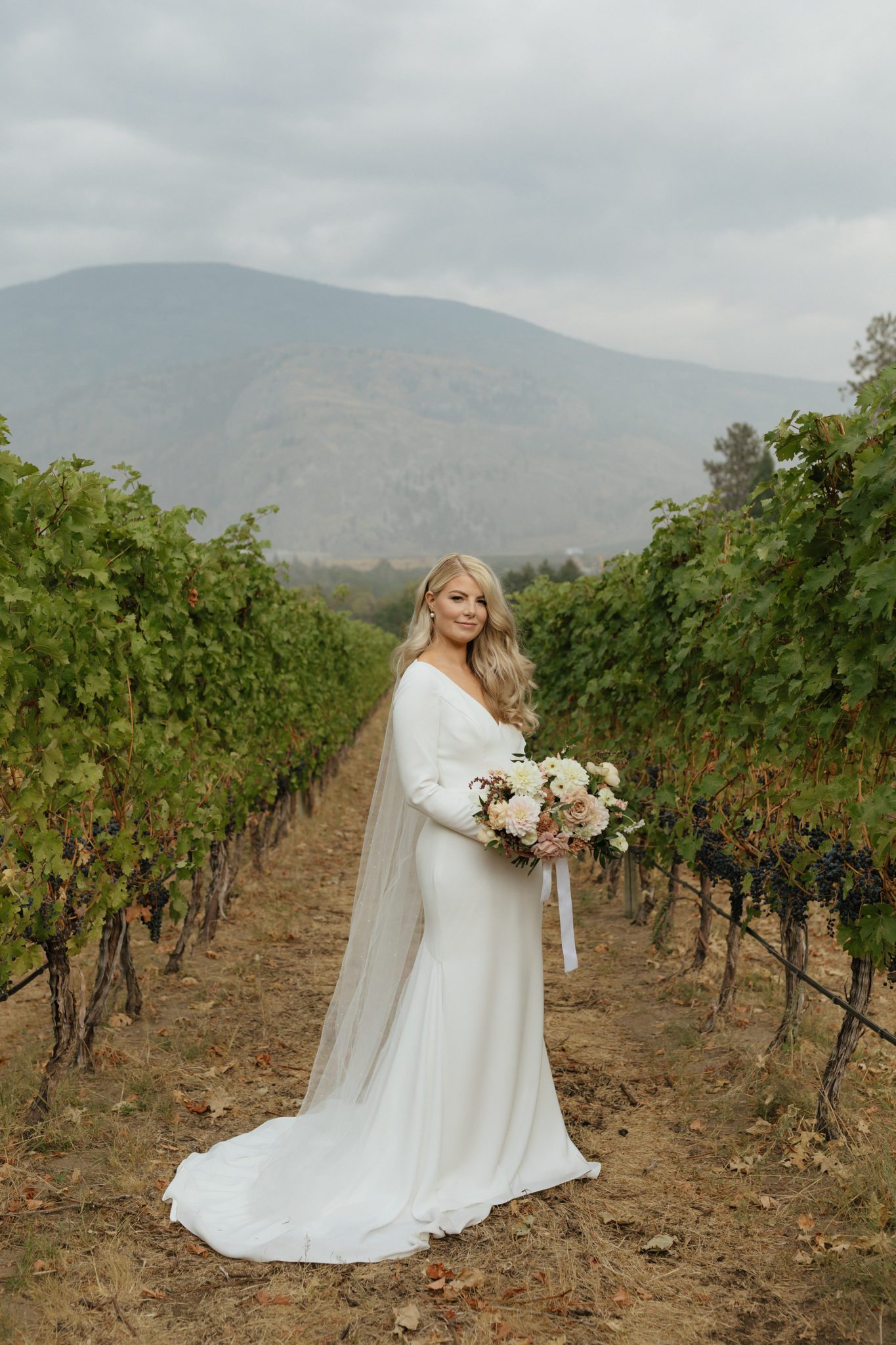 Elegant and classic bride poses in a vineyard in Okanagan British Columbia