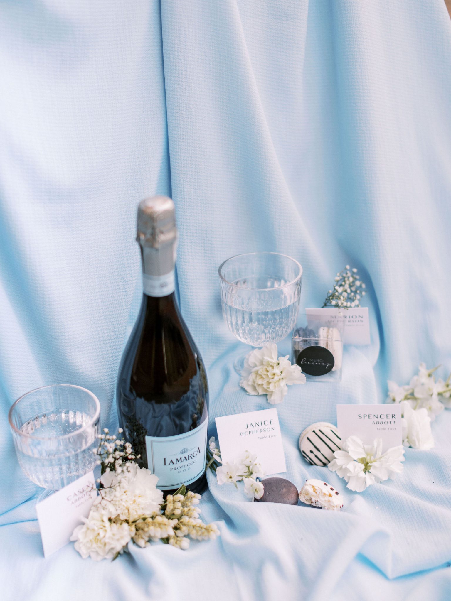 Lamarca champagne with monochromatic macarons set against a robin blue backdrop