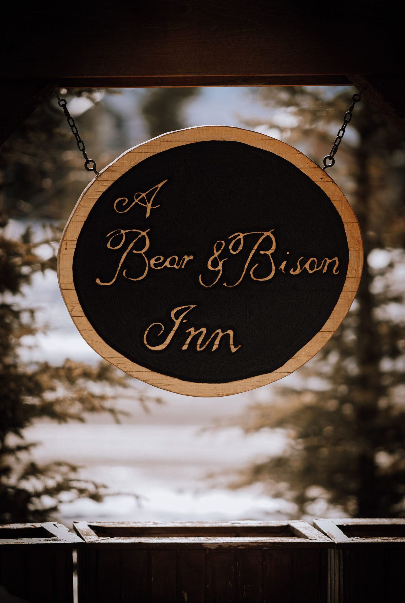 A Bear and Bison Inn