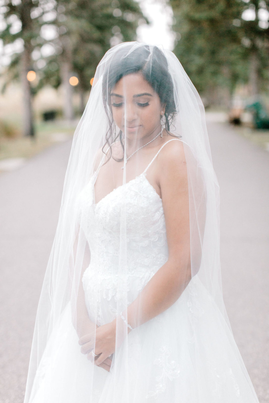 Stunning bridal portrait with flowing veil