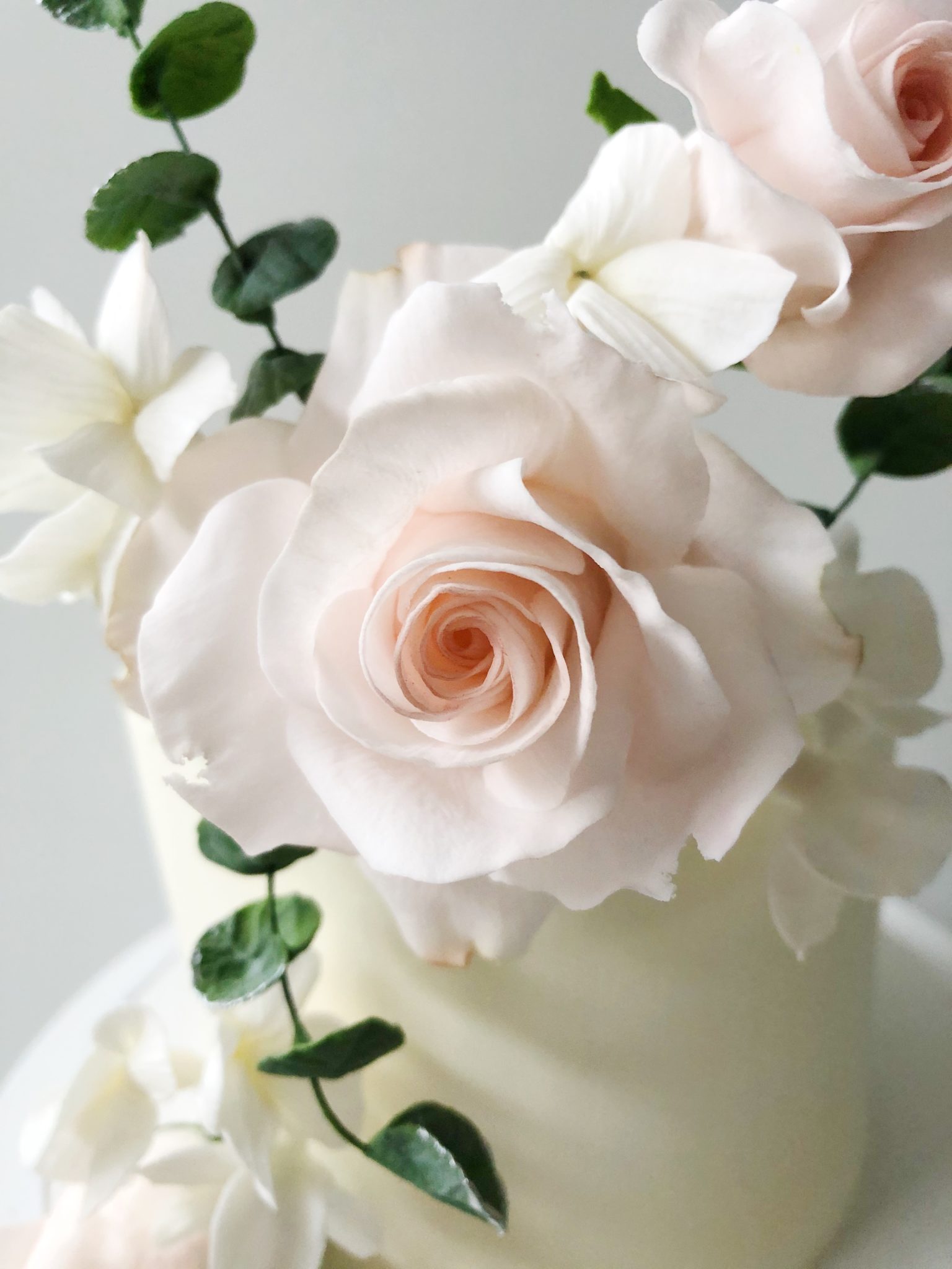 Blush sugar roses on an impossibly cute cake