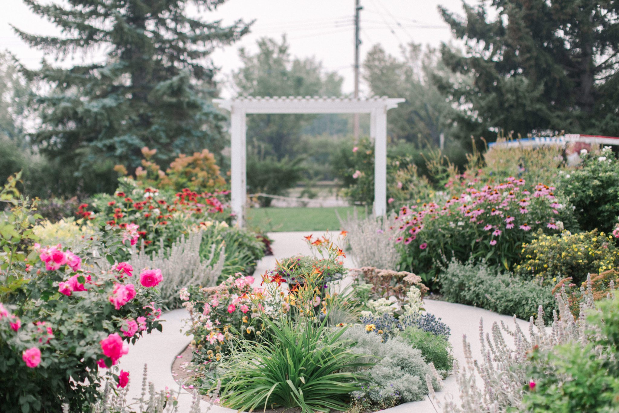 Our Favourite Venues of 2021: Top Alberta Wedding Venues For Every Wedding Size and Style