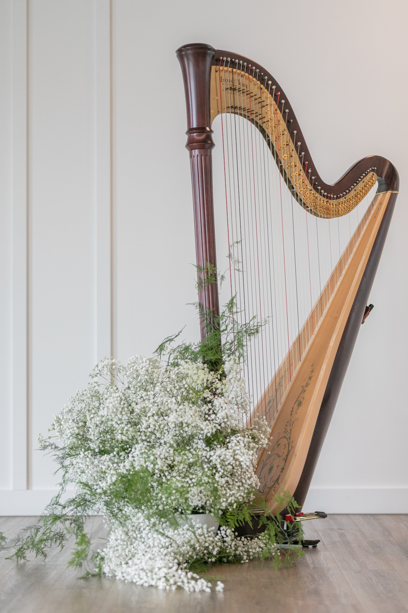 harpist at elegant white wedding