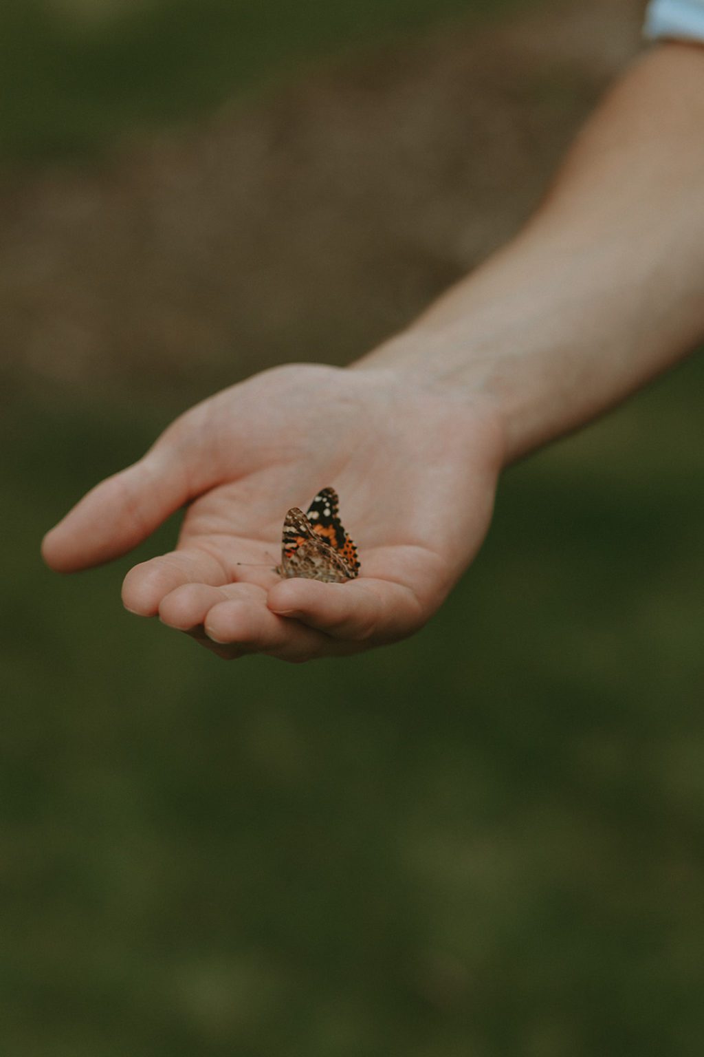 Wildflower Garden Wedding With Live Butterflies | Brontë Bride