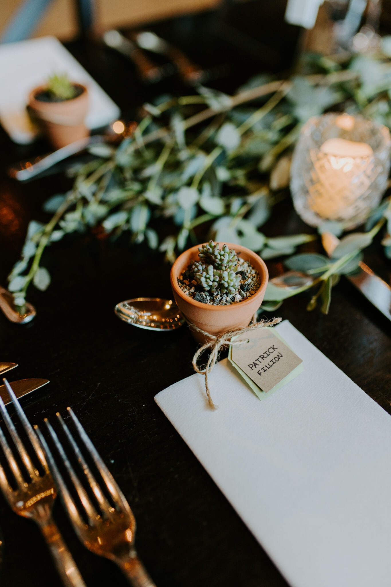 succulent wedding place cards, DIY wedding ideas