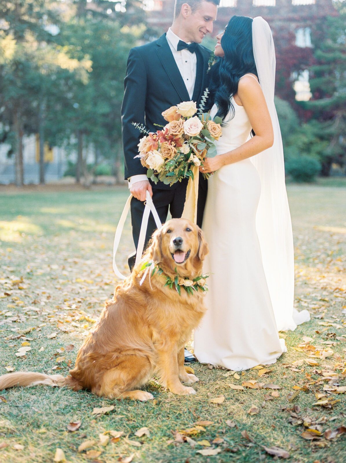 unforgettable bride and groom wedding portraits with their dog, golden hour photo ideas with pets, floral collar on dog to match bride's bouquet in fall hues 