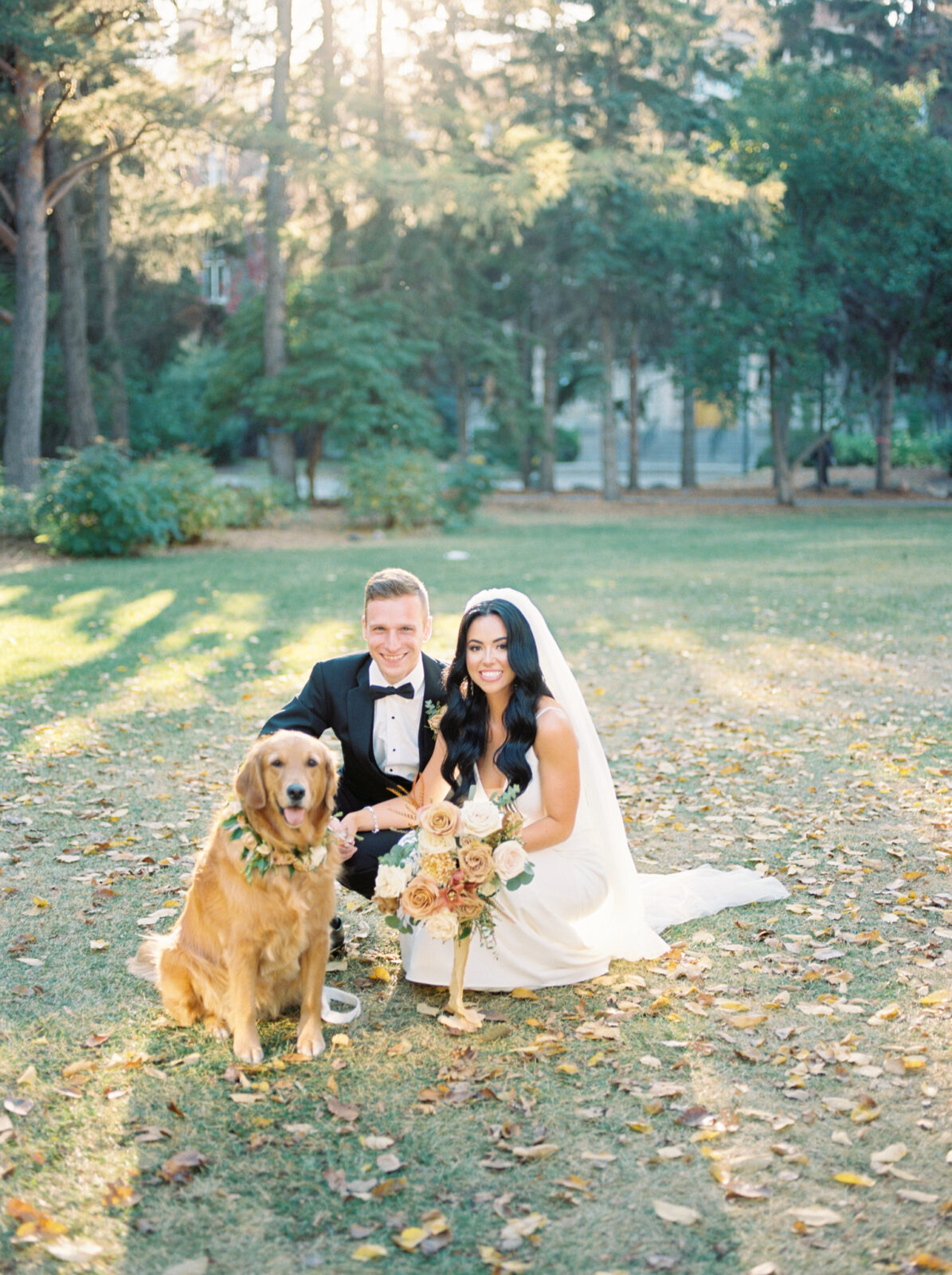bride and groom portraits at sunset with golden retriever, leaves on the ground and the soft light of sunset for bride, picturesque park setting for outdoor fall portraits