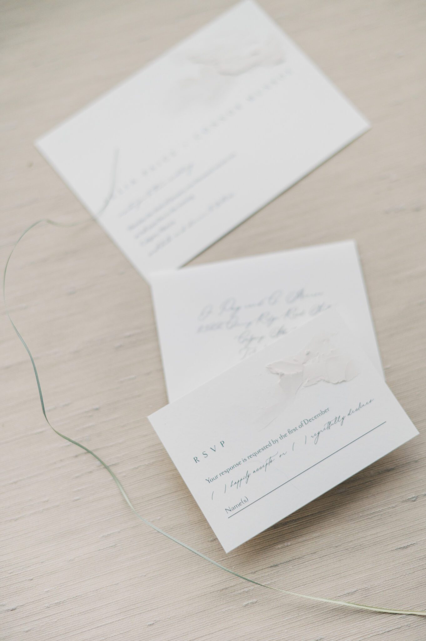 artful invitation featuring nature-inspired textures by Plush Invitations, Chic and modern minimalist wedding invitation design