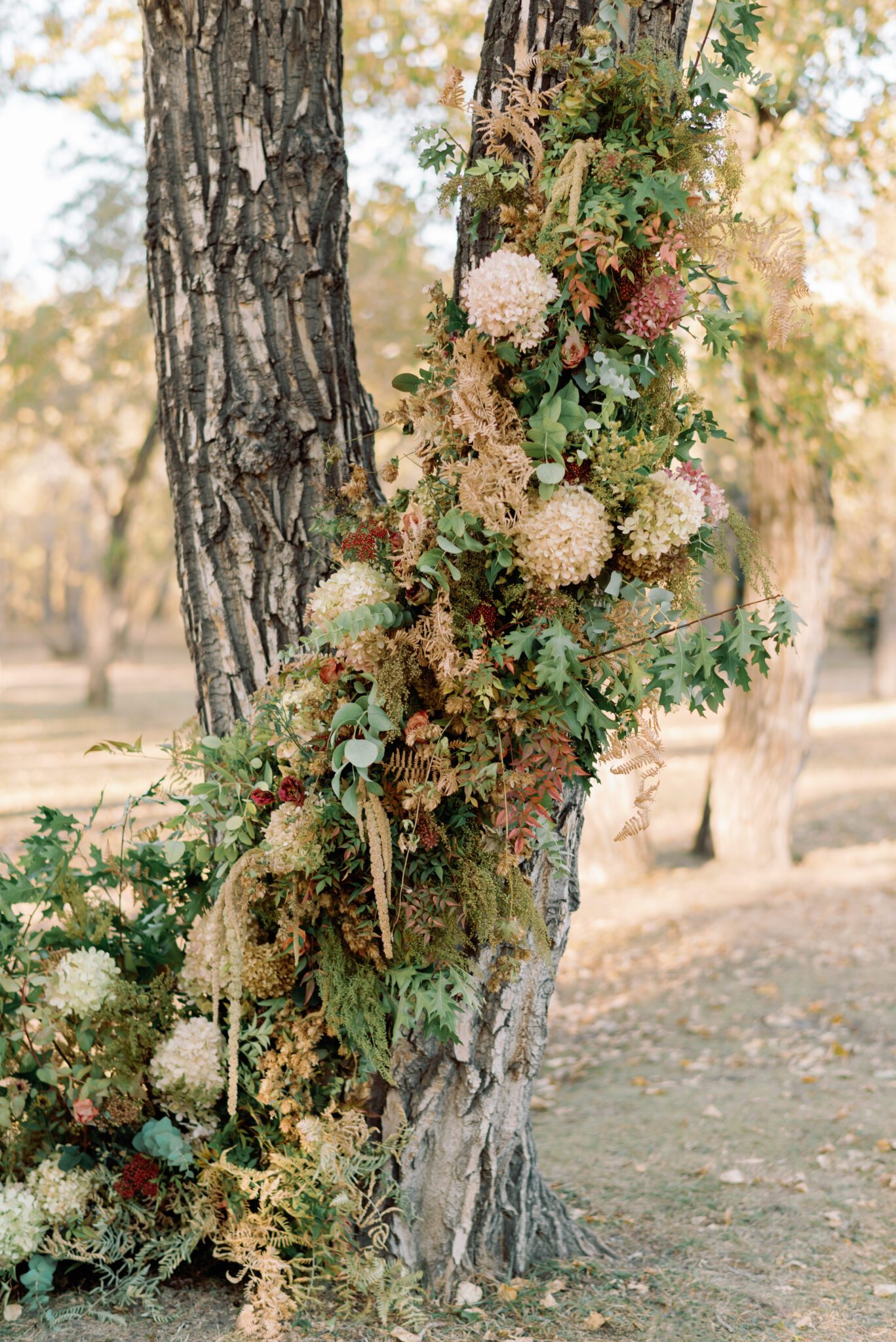 Statement ceremony backdrop of organic earthy burgundy and rust florals climbing tree for Fall inspired wedding by Petal and Stem.