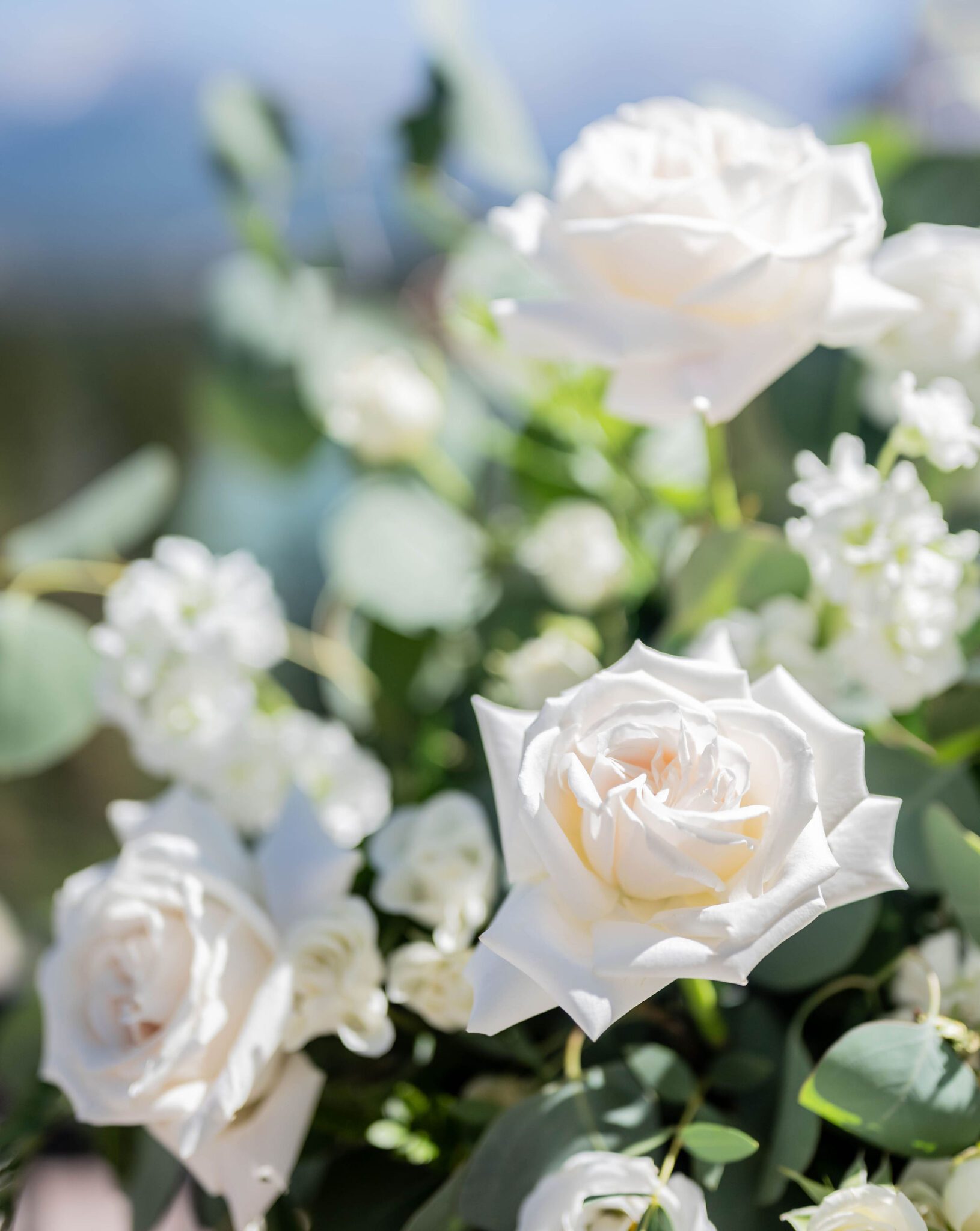 The perfect summer white florals with greenery at Fairmont Banff Springs wedding. 
