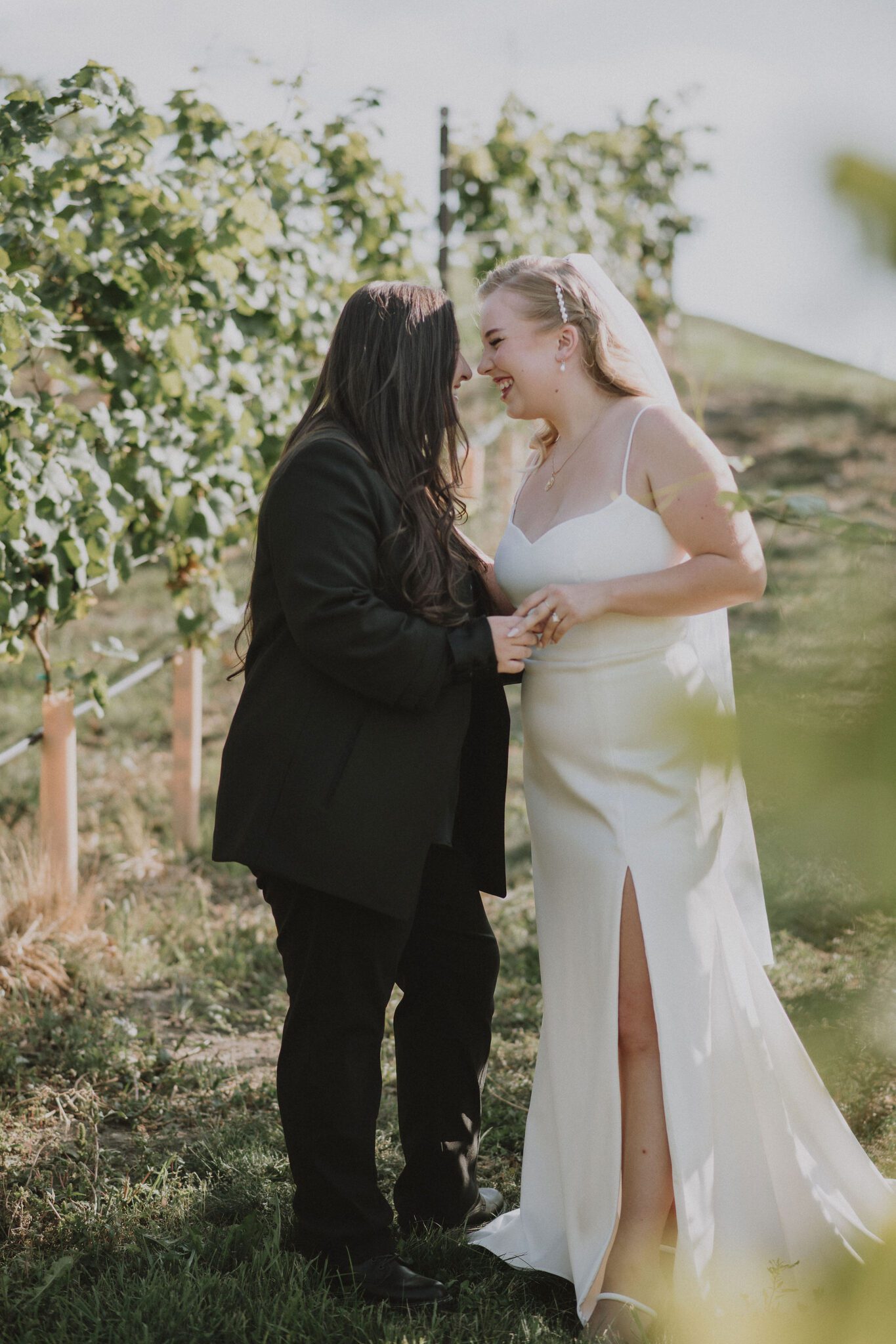 Golden hour portraits at intimate reception, featuring the newlyweds standing amongst an Okanagan vineyard.