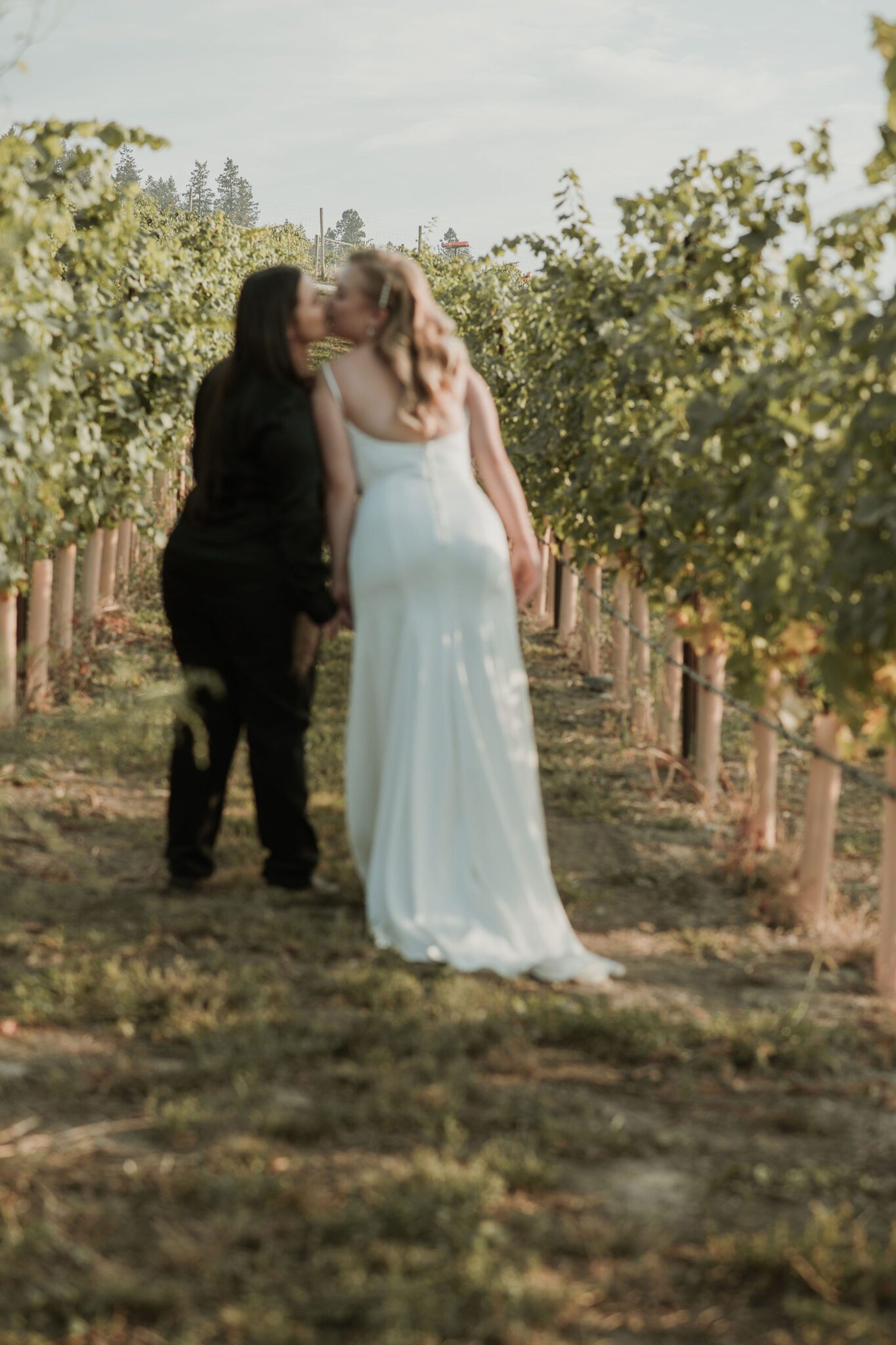 Intentionally blurry photo of couple sharing a kiss while standing amongst an Okanagan vineyard at their intimate vineyard wedding with breathtaking views. 