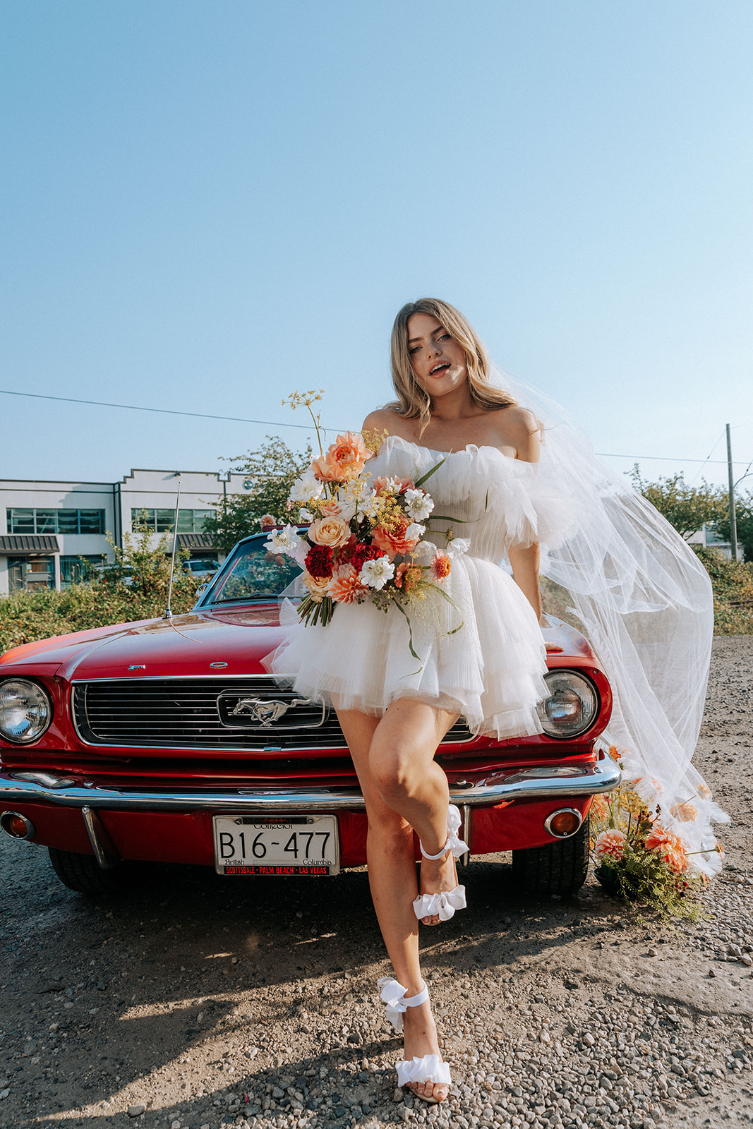 Carefree flirty retro bride wearing Zephyr dress by local Canadian designer Ouma Bridal and long cathedral veil blowing in the wind, standing in front of vintage red muscle car surrounded by tangerine and white summer blooms. 
