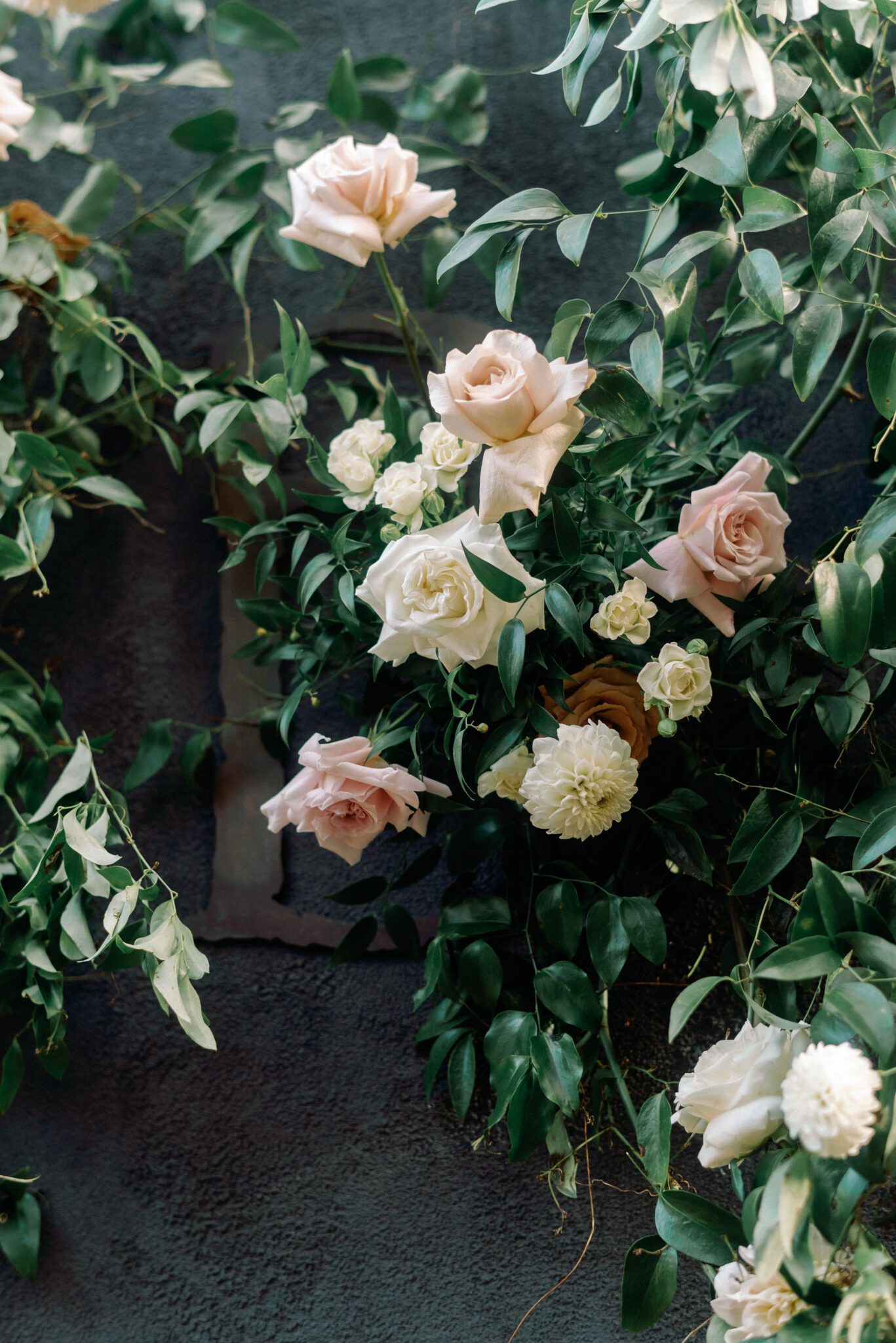 Elegant greenery and pink and white roses at Bonterra Trattoria wedding ceremony. 