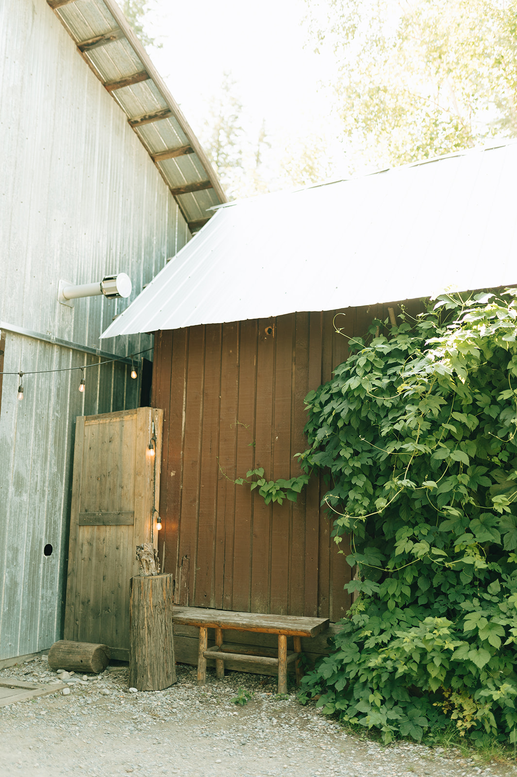 Summer wedding at Hillside Lodge & Chalets in Golden BC